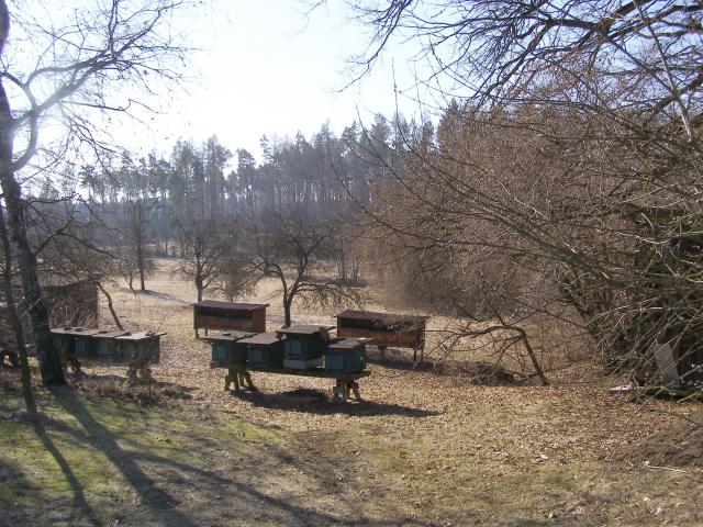 Včelí úly u Staroboru